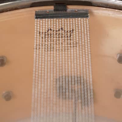 Lang Percussion 7x14" Gladstone 3-Way Snare Drum - Chestnut Veneer image 13