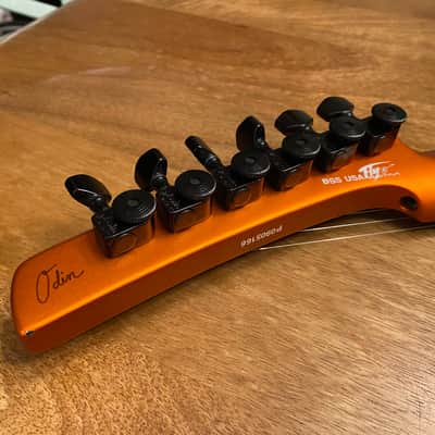 Parker Fly Artist, Custom (Odin) image 7