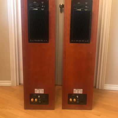 High End CANTON Ergo RC-A Speakers image 6