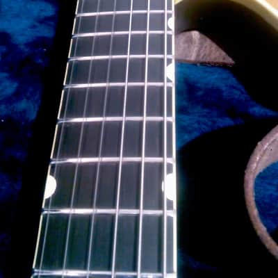 Loic Le Pape Scalar Gold Top (headless one-of-a-kind, stainless steel body) extremely RARE! EU only! image 5