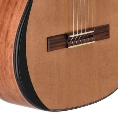 Manuel Rodriguez Tesoro De Camerun Limited Edition Solid Cedar Top & Cedar Neck 6-String Classical Acoustic-Electric Guitar w/Hard Case image 7