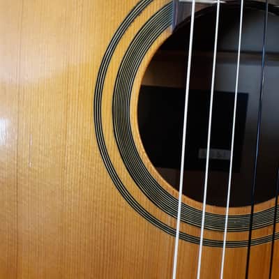 Matsuoka Aria A551, Pre-Serial Number Black Label (late 50s-early 60s), OHSC image 12