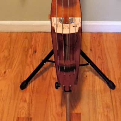Alter Ego BASSO, hollow-body upright bass image 1