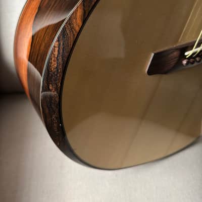Brian Applegate SJ Fan Fret Multiscale Brazilian Rosewood image 7