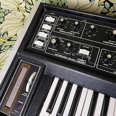 Moog Multimoog 1981 image 6