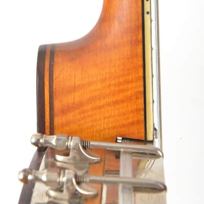1921 VEGA STYLE M TUBAPHONE TENOR BANJO image 14