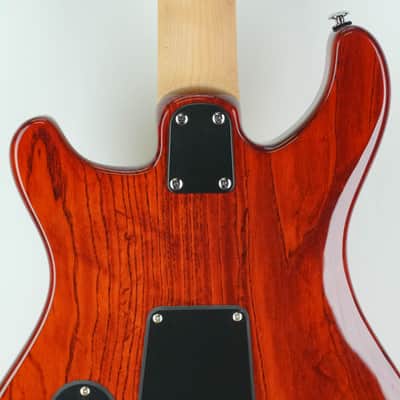 PRS SE Swamp Ash Special 22 Vintage Sunburst image 6