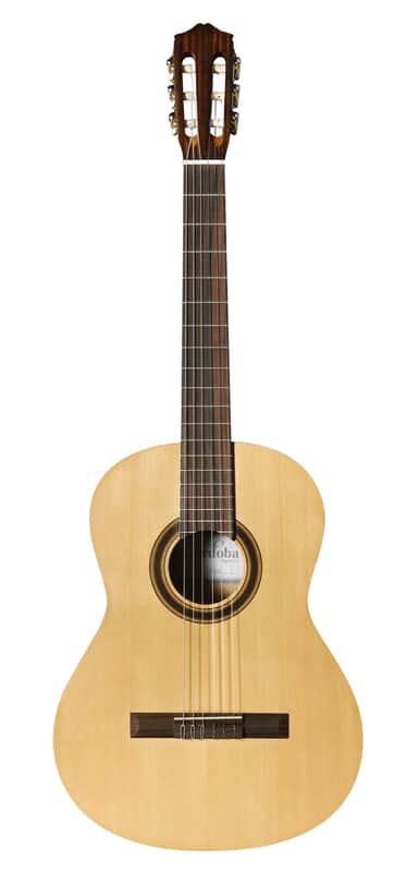 Cordoba CP100 Iberia Series Nylon-String Classical Guitar Pack with Tuner, Picks & Gig Bag image 1