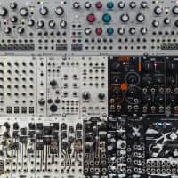 Audible Disease Palindrome PD-1 | Reverb