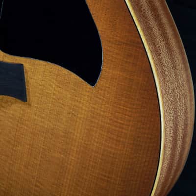 Taylor GS Mini-E Special Edition Honeyburst Acoustic-Electric Guitar image 18