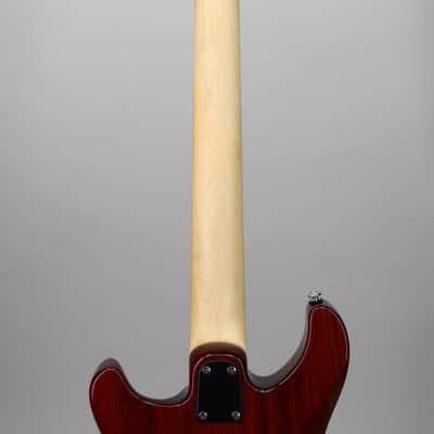 Paul Reed Smith SE Swamp Ash Special Vintage Sunburst (s/n CTIF111286) image 6