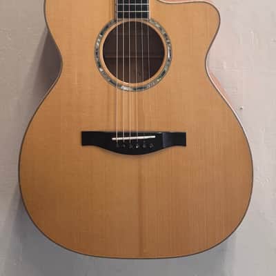 *HARD TO FIND!* Eastman AC612CE (Discontinued Model!) image 1