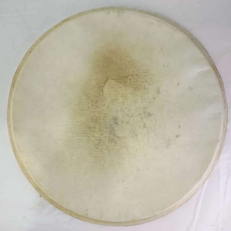 Slingerland 14"Batter Calf Skin Snare/Floor Tom Drum Head Vintage 40s Radio King image 1