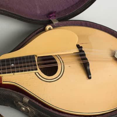 Gibson Style A-3 Carved Top Mandolin (1918), ser. #50920, original black hard shell case. image 15