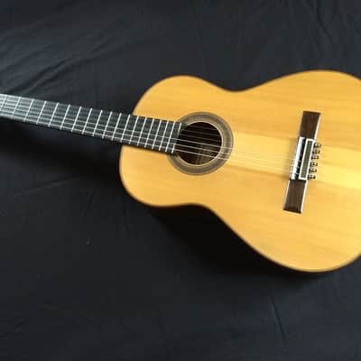 José Marin Plazuelo 2007 - French Polish image 1