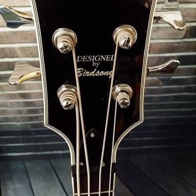 Custom Build - Birdsong Designed T Bass - 30.5" Scale PRE-ORDER - Robin Blue image 5