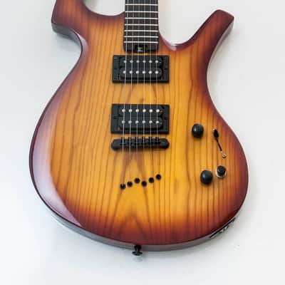 Acepro Parker Fly style guitar Made in Korea image 3