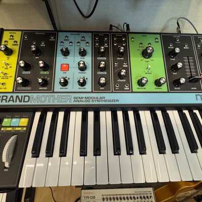 Moog Grandmother 32-Key Semi-Modular Analog Synthesizer 2018 - Present - Black / Multi-Colored Panel