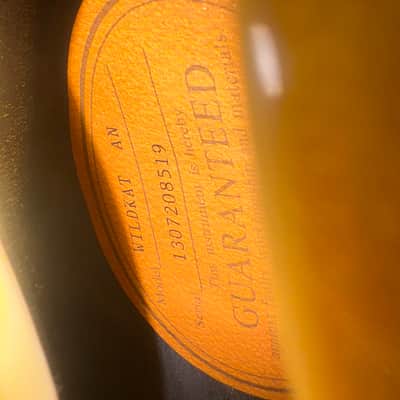 Epiphone Wildkat 2013 - Antique Natural image 7