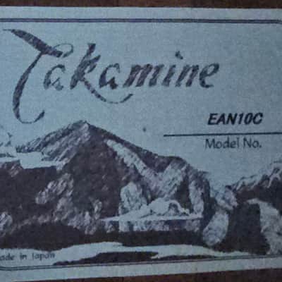 Takamine EAN10C Pro Series Electric Acoustic Dreadnought w/HSC - Satin image 11