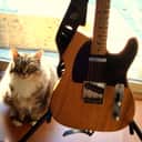 1952 Fender Telecaster - Tadeo Gomez - with Thermometer Case