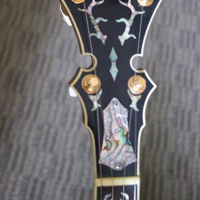 Stelling Staghorn Gold Plated Banjo No. 4510 (c. 1996) image 7