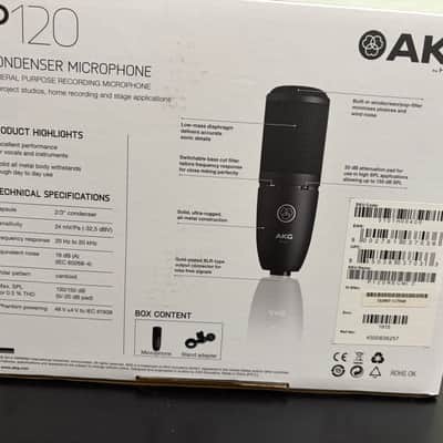AKG P120 image 7