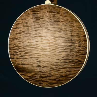 Deering 50th Anniversary Limited Edition 5-String Banjo NEW image 18