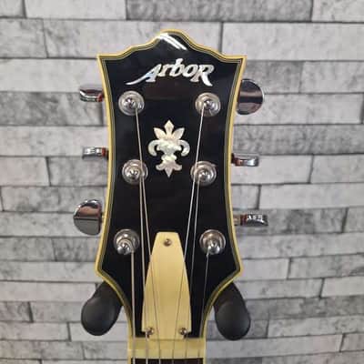 Arbor Les Paul Copy image 4