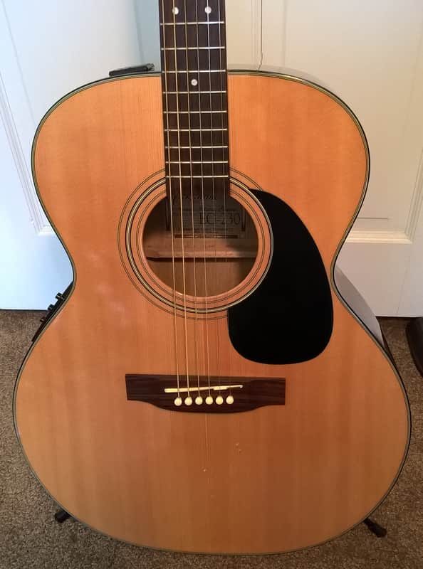 Takamine EG-230 Acoustic/Electric Guitar--Exc Cond.; EQ & Volume Controls; w/ Original HSC & Manuals image 1