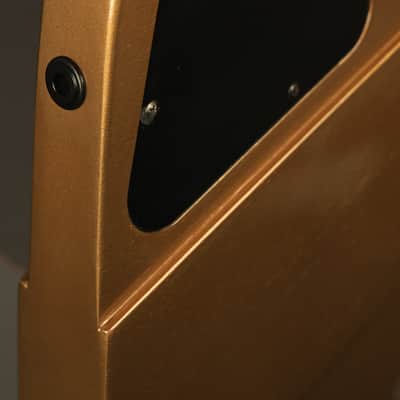 2013 Gibson 50th Anniversary Thunderbird Bass Bullion Gold image 15