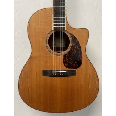 L'Arrivee LV03RE Grand Auditorium Electro Acoustic Guitar with Hardcase Pre-Owned image 5