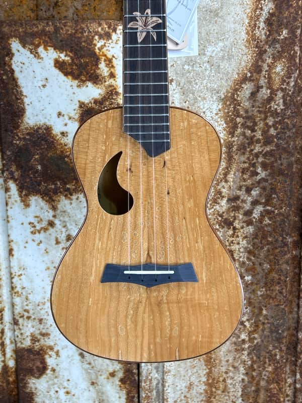 Snail Spalted Maple Gloss Concert Ukulele image 1
