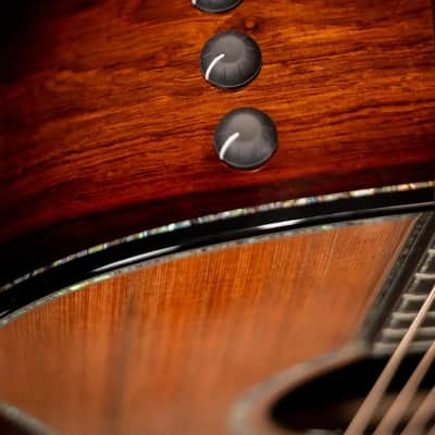 Taylor PS14ce Honduran Rosewood/Sinker Redwood Acoustic/Electric with Deluxe with Hardshell Case image 13