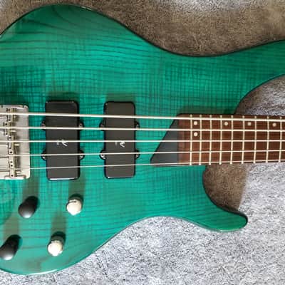 Washburn XB-500 5-string Bass image 1