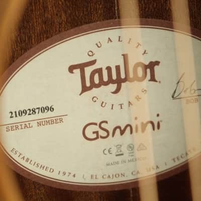 PROJECT Taylor GS Mini (096) image 7
