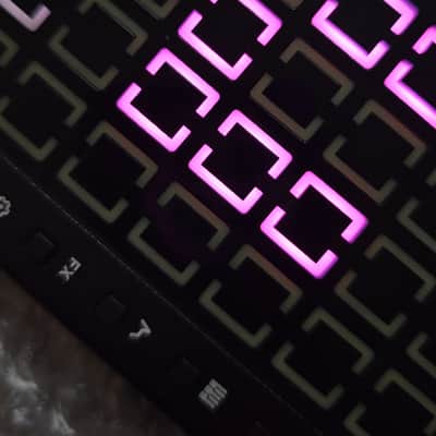 Beetlecrab Tempera 2026 - Granular Synthesizer & FX Processor image 12