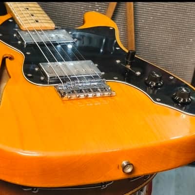 Fender Telecaster Thinline 1978 Natural image 22