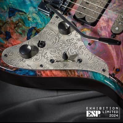 ESP Exhibition Limited EX24-02 Snapper Custom Shop 2024 - Multiple Colored Stabilized finish w/Super Natural/See Thru Black image 6