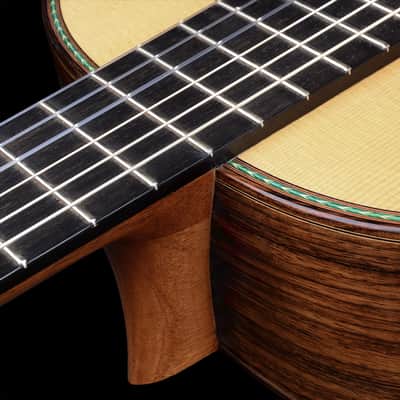 Kenny Hill Torres 2023-Spruce/Indian Rosewood-640 image 8