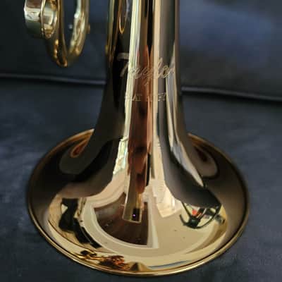 CarolBrass Pocket Flugelhorn / Taylor Phat Puppy 2024 - Polished / Lacquered image 13