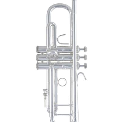 Bach 180S-43 G Stradivarius in B image 2