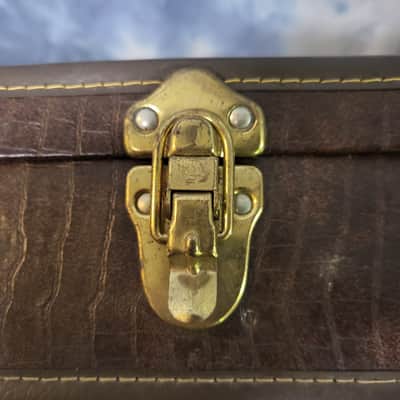 Vintage 1977 D'Andrea Z Explorer Alligator Look Soft Shell Guitar Case Warranty Card Candy image 5