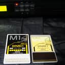 Korg M3R AI Synthesis Module 1990s - With M1 Synth 1 Card MSC-02 and M3R RPC-02 Cards