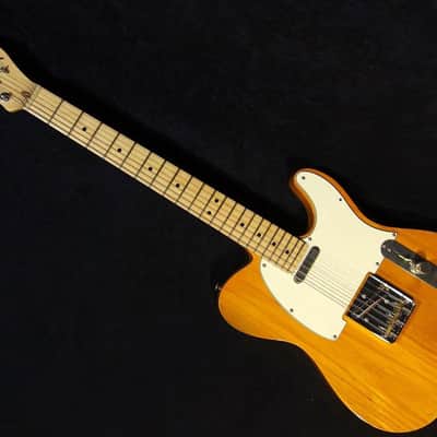 NO BRAND Component Telecaster Model(Fender Neck) image 2