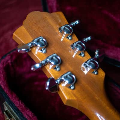 1999 Guild USA Starfire II - Rare All Mahogany Version - Westerly Build image 15