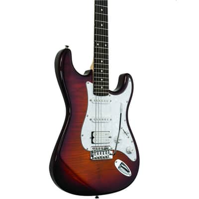 WASHBURN TAKE THE STAGE PACK Complete Beginner Sonomaster Guitar, Amp & Gigbag System image 4