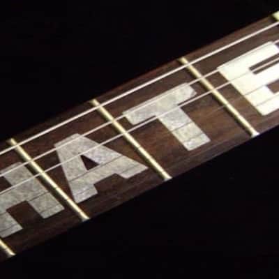 Hate Silver Sticker Inlay Vinyl Fret Markers Fretboard Guitar & Bass image 1