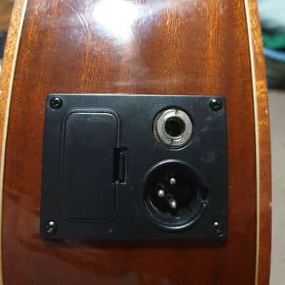 Galvador Ibanez G200ECE-NT Series Cutaway Acoustic/Electric Classical Guitar Natural High Gloss image 7