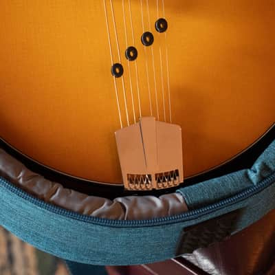 Eastman PCH-M104-GB Solid Spruce/Laminated Mahogany Goldburst Flattop A-Style Mandolin #1880 image 3